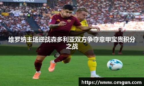 维罗纳主场迎战森多利亚双方争夺意甲宝贵积分之战